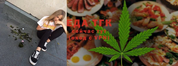 МДПВ Бородино