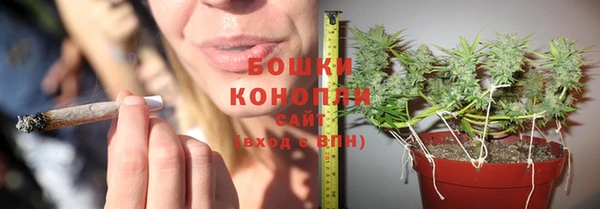МДПВ Бородино