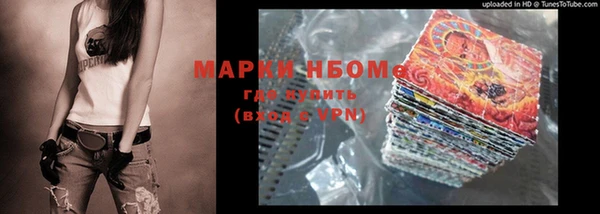 МДПВ Бородино
