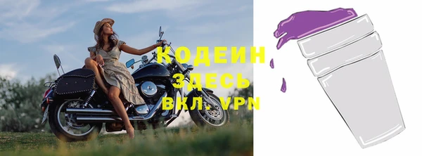 МДПВ Бородино