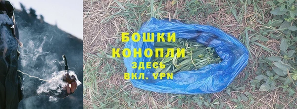 МДПВ Бородино