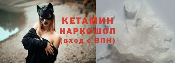 МДПВ Бородино