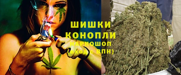 МДПВ Бородино