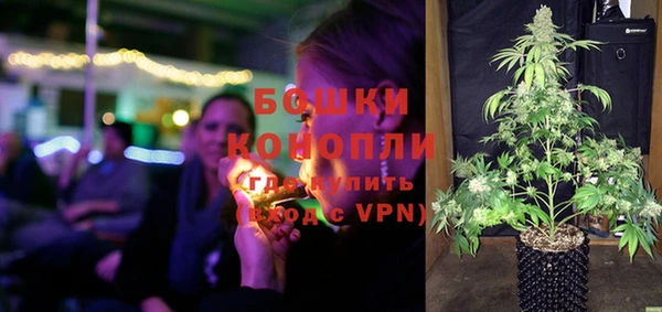 МДПВ Бородино