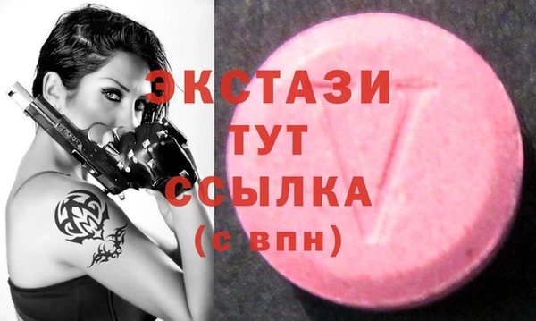 МДПВ Бородино